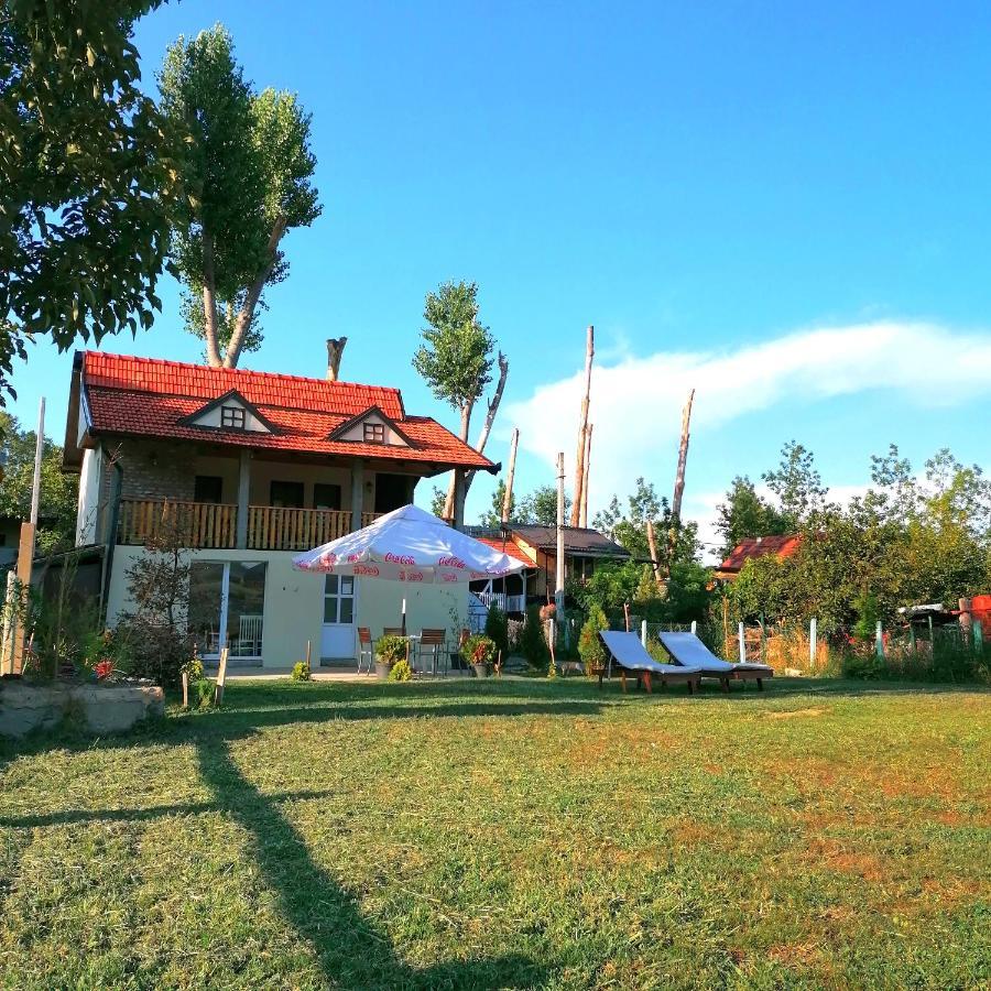 Captain'S House By The Danube River Cerevic Ngoại thất bức ảnh